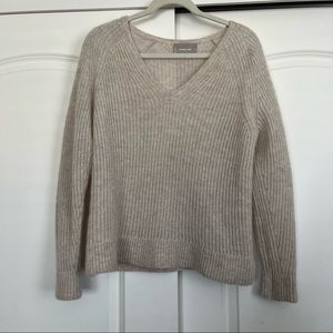 Everlane Alpaca V-Neck Sweater